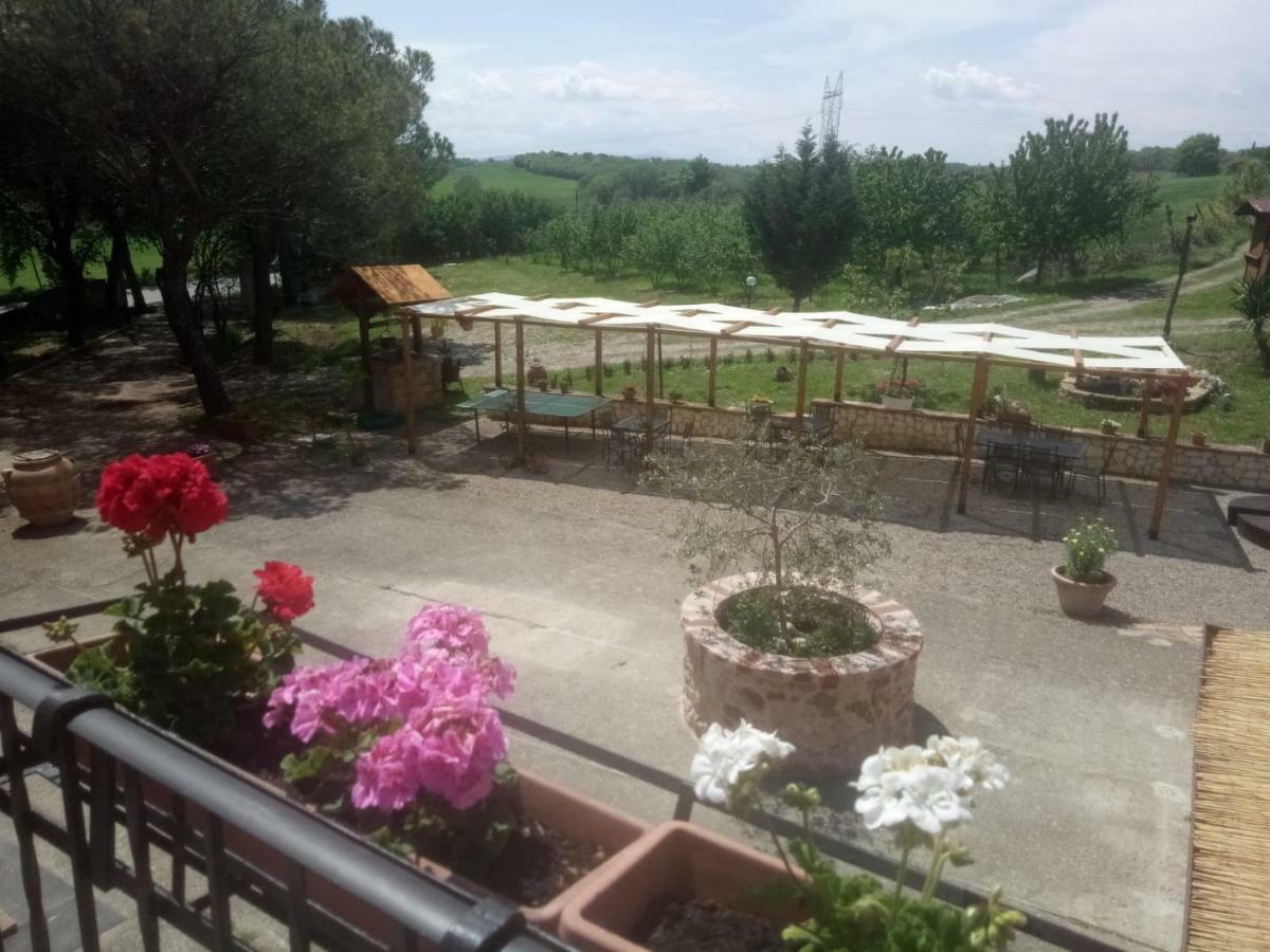 Agriturismo Colle Al Sole Apartamento Castiglione del Lago Exterior foto