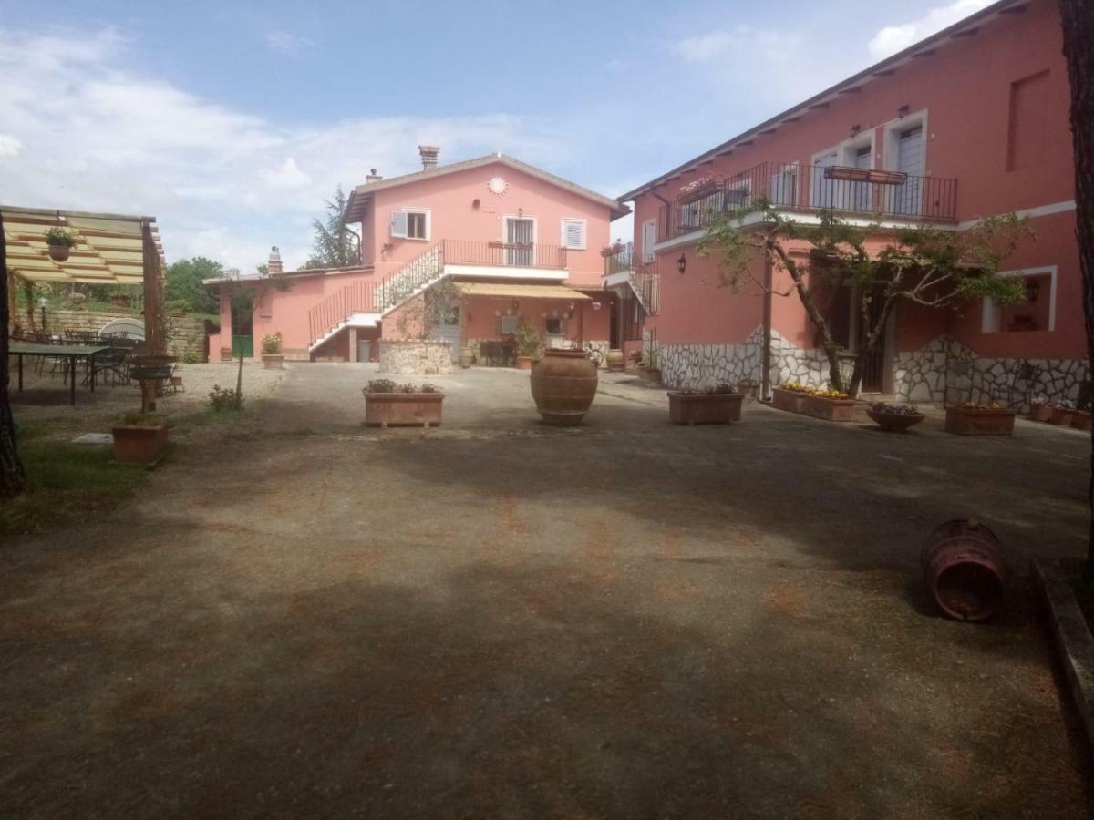 Agriturismo Colle Al Sole Apartamento Castiglione del Lago Exterior foto